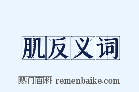 肌反义词是什么意思的图片